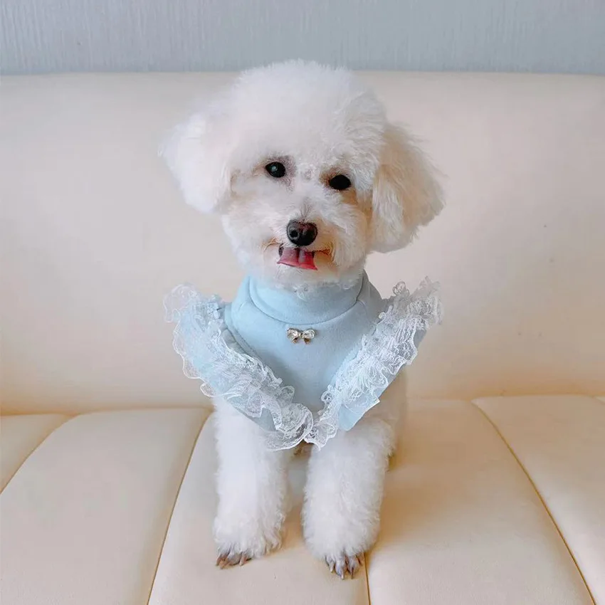 Pet Clothing Autumn and Winter - Lace Teddy Lingerie review and price