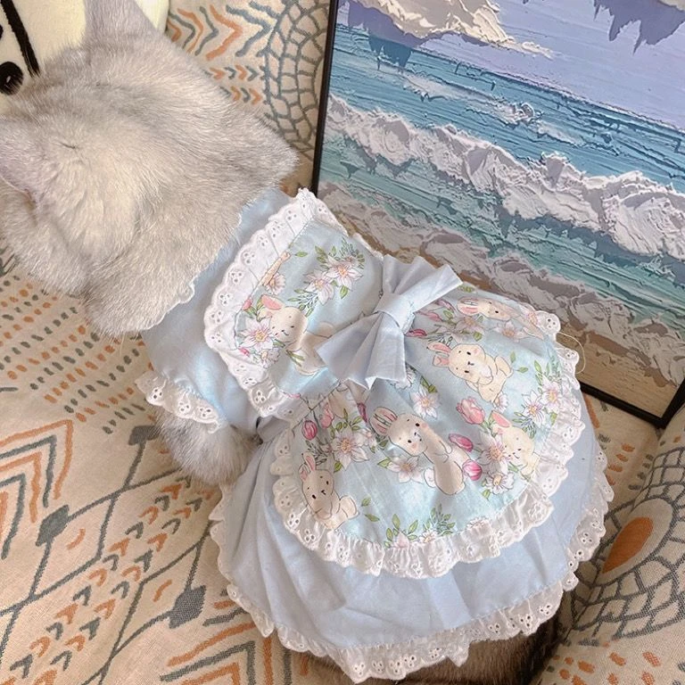 Pet Cute Apron Dress Lace Flor - Lace Teddy Lingerie review and price